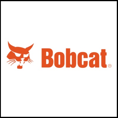 Bobcat